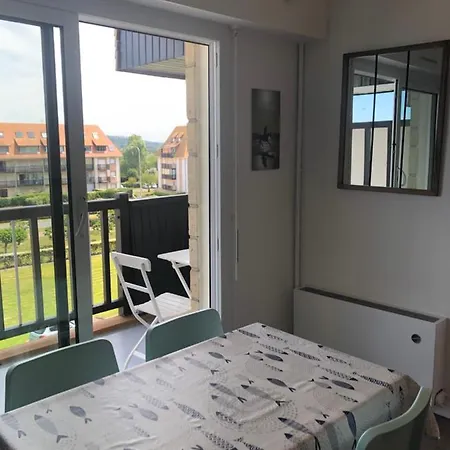 Prise De Vue A 2 Pas De La *